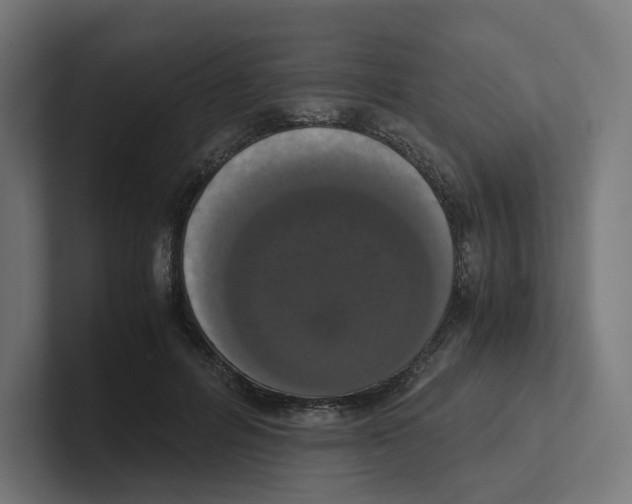 X0000102300600200808221422