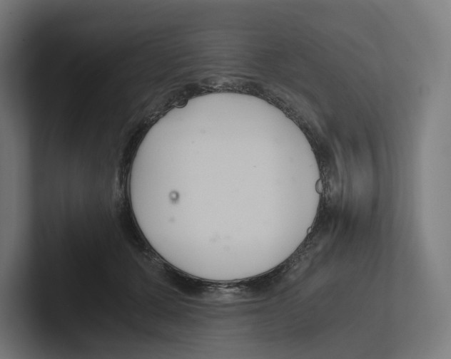 X0000102300607200808221422