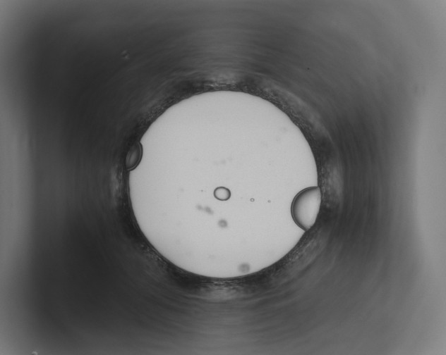 X0000102300608200808221422