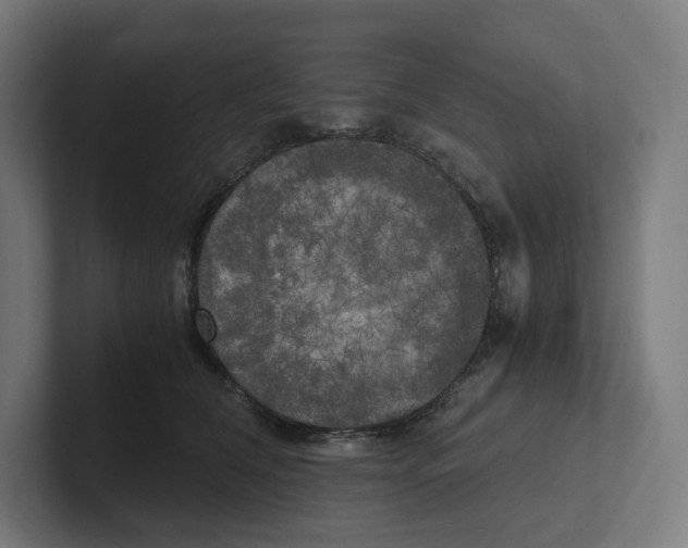 X0000102300612200808221422