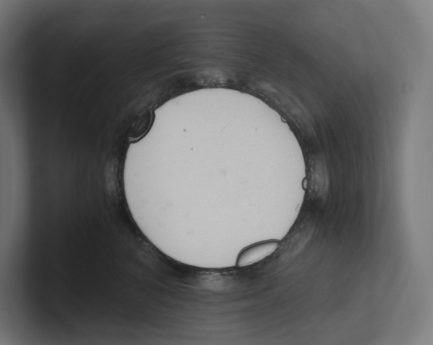 X0000102300616200808221422