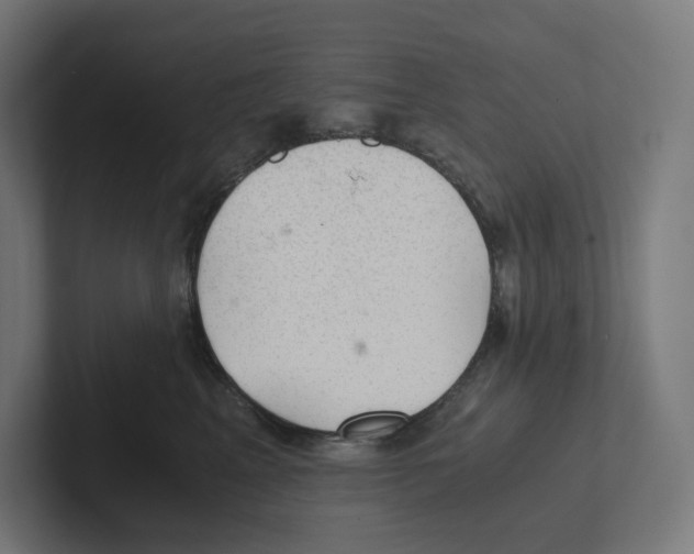 X0000102300617200808221422