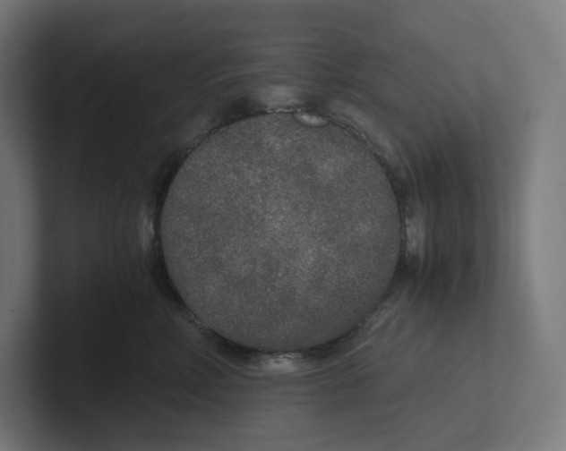 X0000102300618200808221422