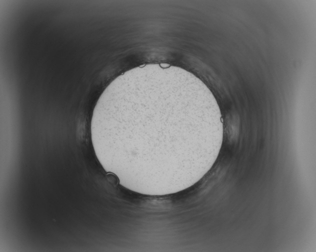X0000102300619200808221422