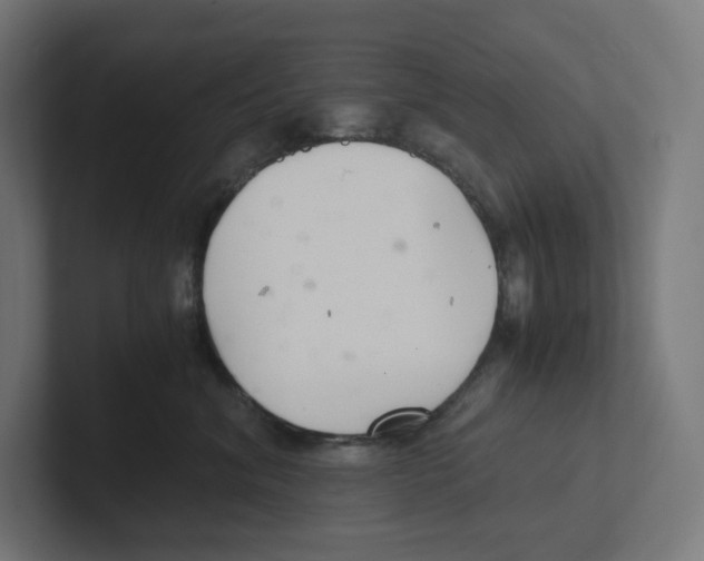 X0000102300620200808221422