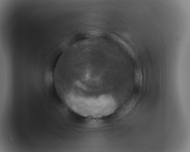 X0000102300621200808221422