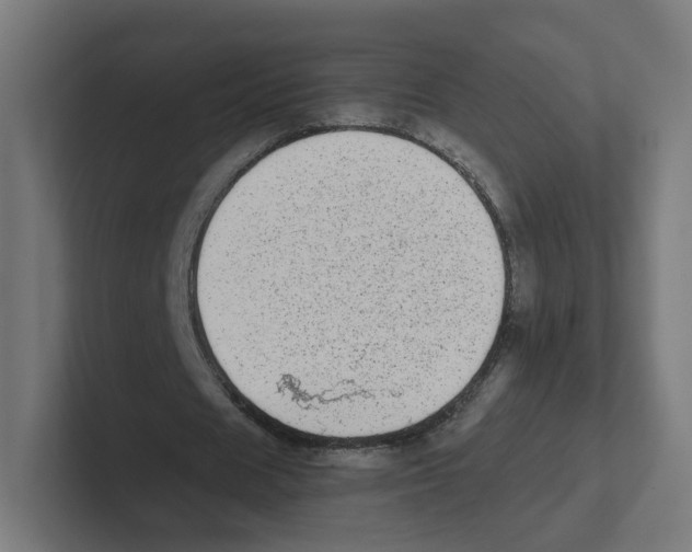 X0000102300625200808221421
