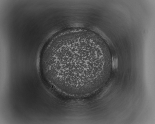 X0000102300627200808221421