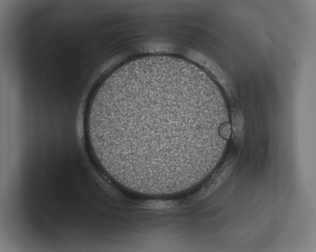 X0000102300629200808221421