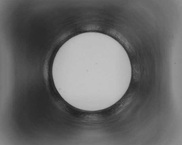 X0000102300631200808221421