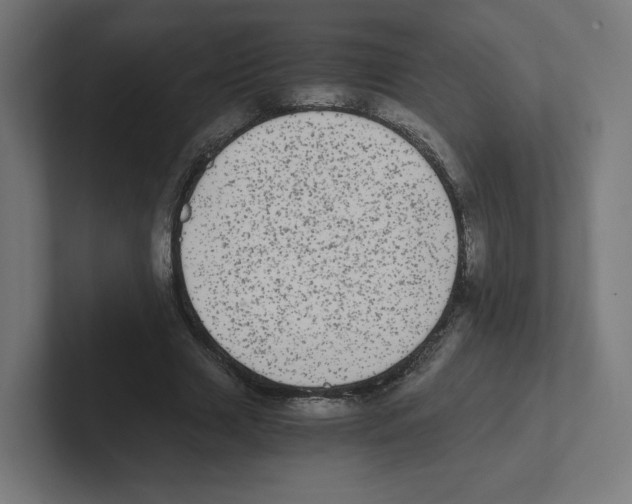 X0000102300633200808221421
