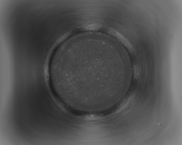 X0000102300634200808221421