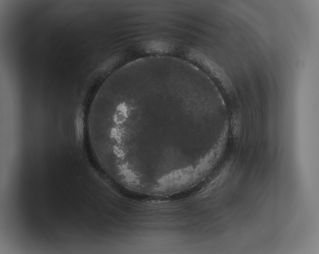 X0000102300637200808221421