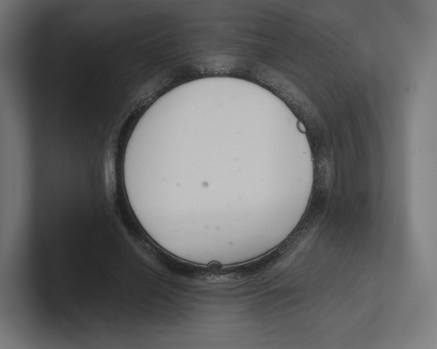 X0000102300638200808221421