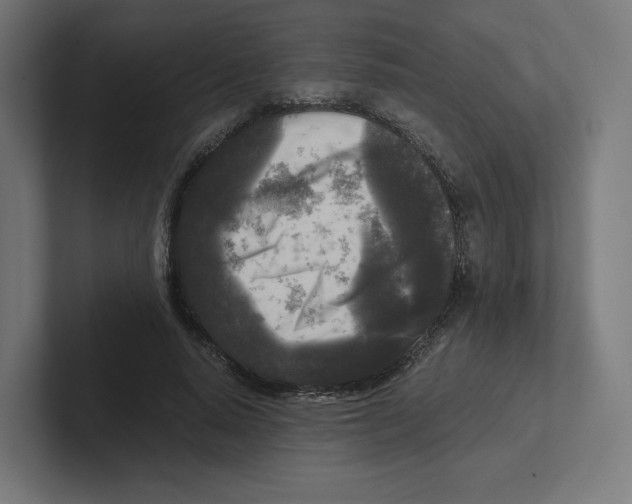 X0000102300640200808221422
