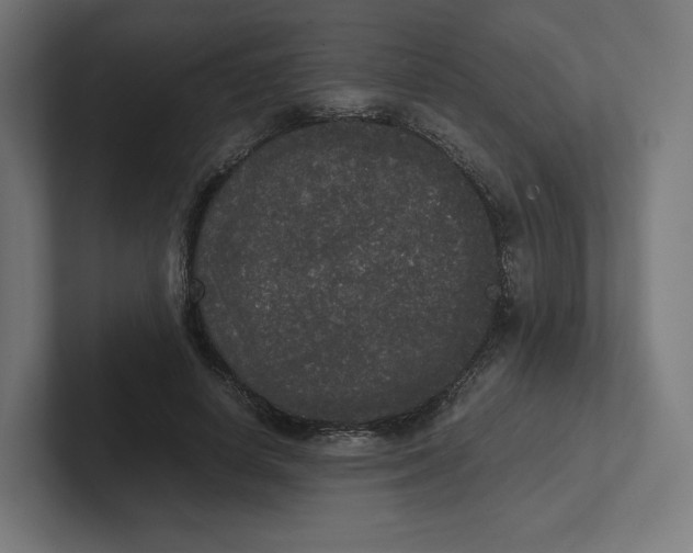 X0000102300642200808221422