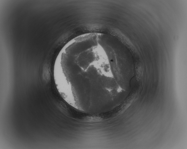 X0000102300644200808221422