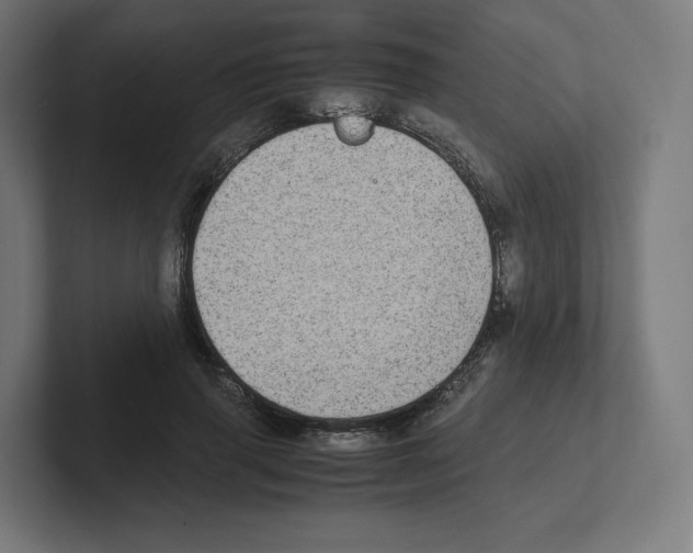 X0000102300645200808221422