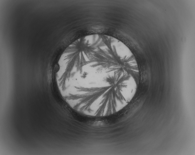 X0000102300647200808221422