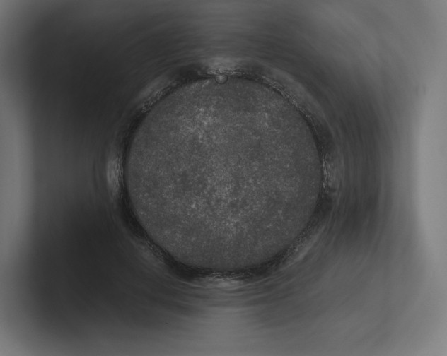 X0000102300648200808221422