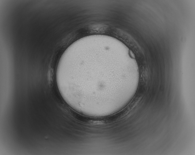 X0000102300649200808221422