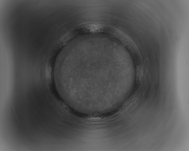 X0000102300650200808221422