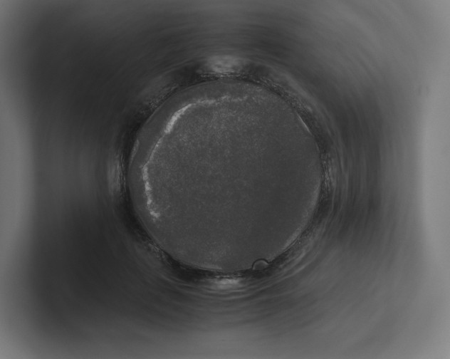 X0000102300651200808221422