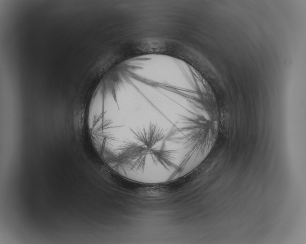 X0000102300652200808221422