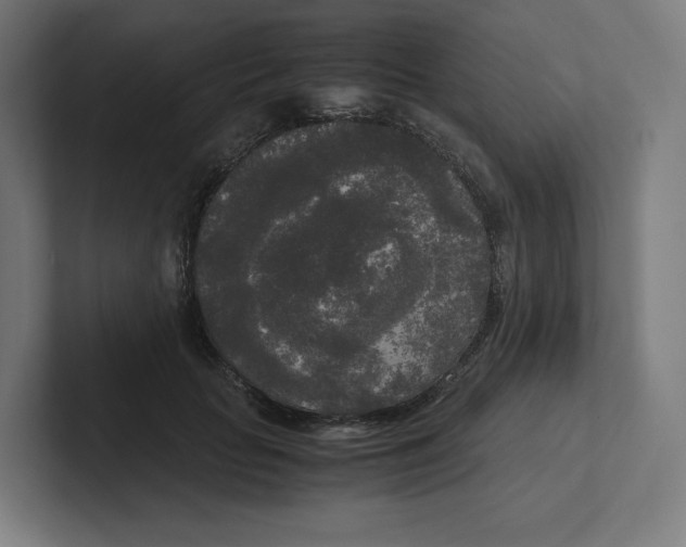 X0000102300653200808221422