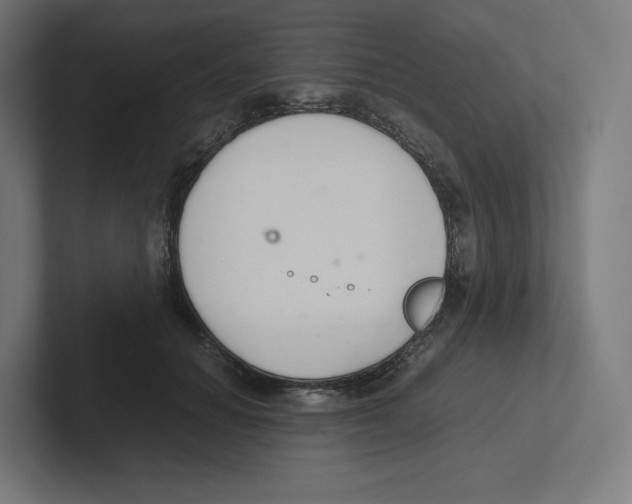 X0000102300654200808221422