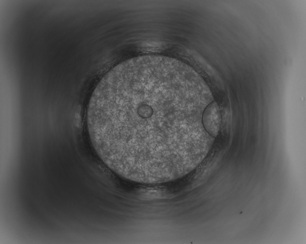 X0000102300655200808221422