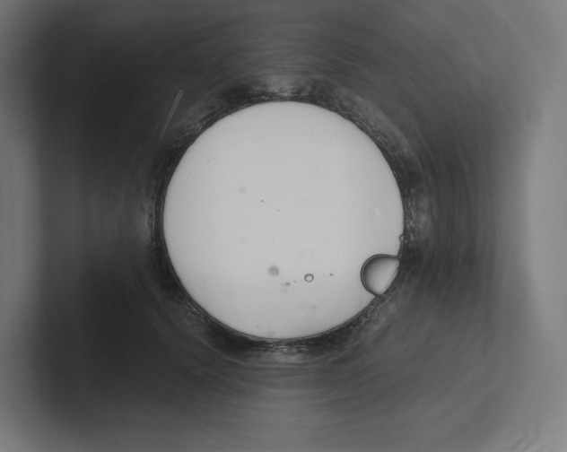 X0000102300656200808221422