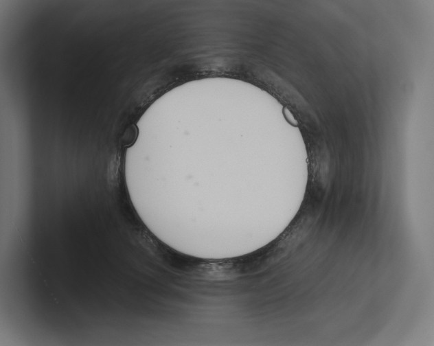 X0000102300660200808221422