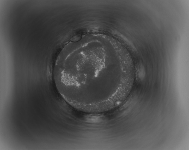 X0000102300661200808221422