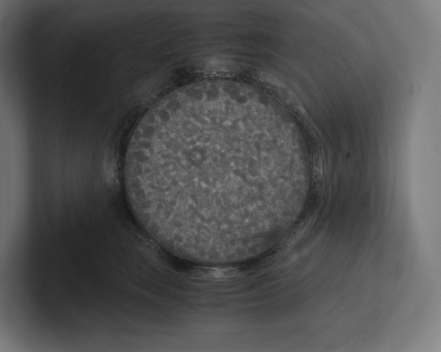 X0000102300663200808221422
