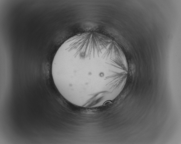 X0000102300664200808221422
