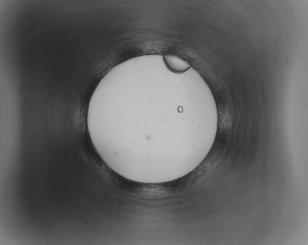 X0000102300666200808221422