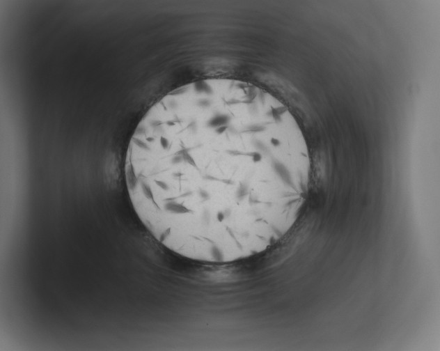 X0000102300667200808221422
