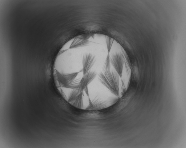 X0000102300668200808221422