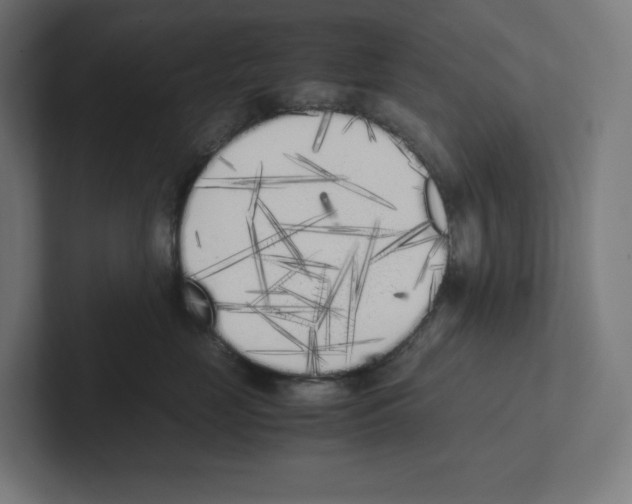 X0000102300669200808221422