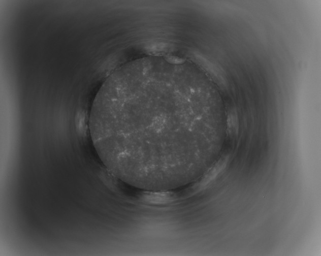 X0000102300671200808221422