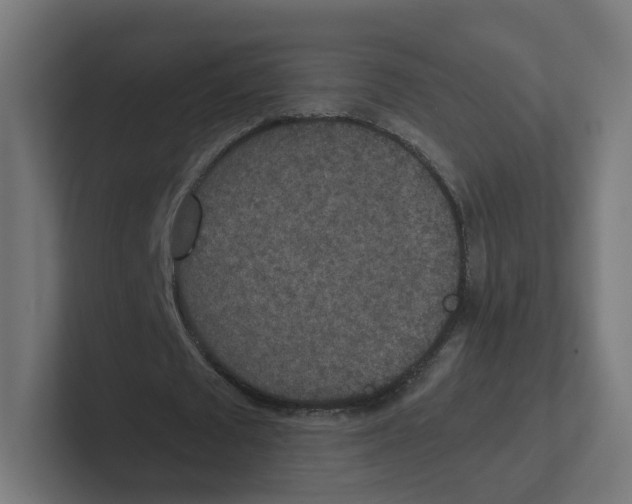 X0000102300673200808221421