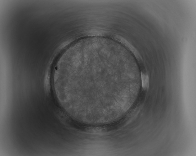 X0000102300675200808221421