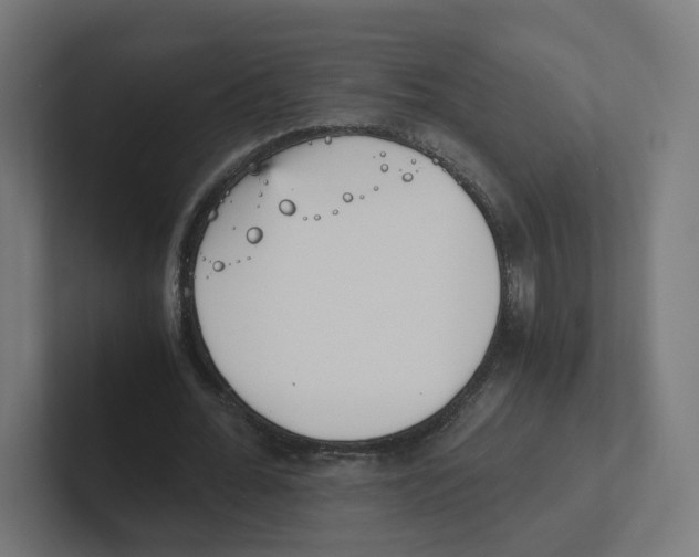 X0000102300676200808221421