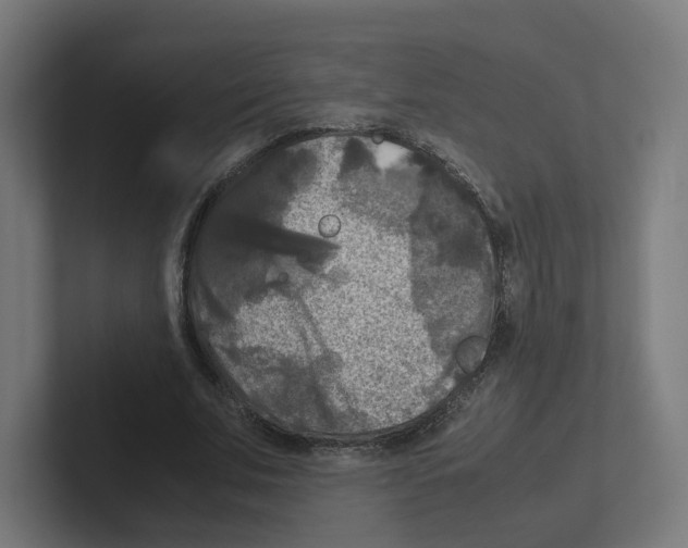 X0000102300679200808221421