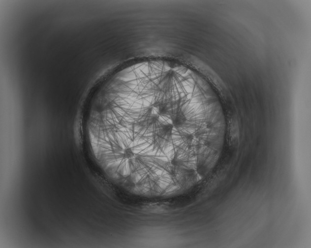 X0000102300680200808221421