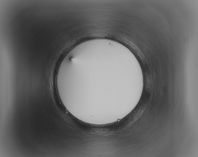 X0000102300681200808221421