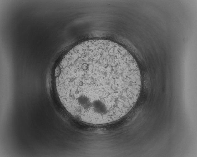 X0000102300683200808221421