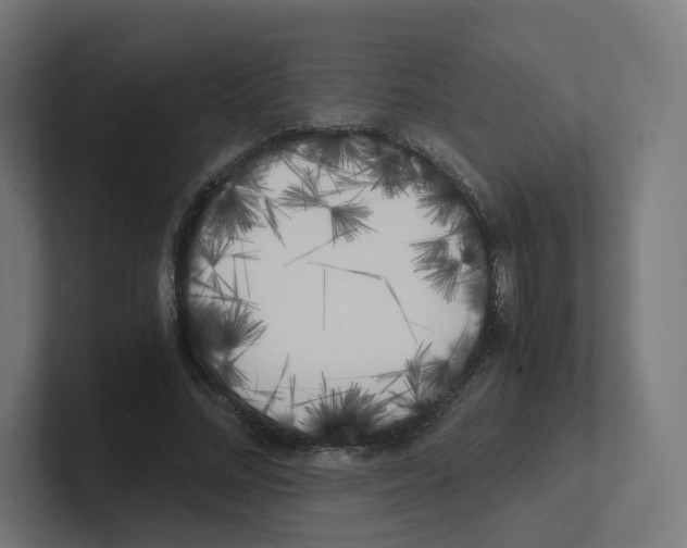 X0000102300684200808221421