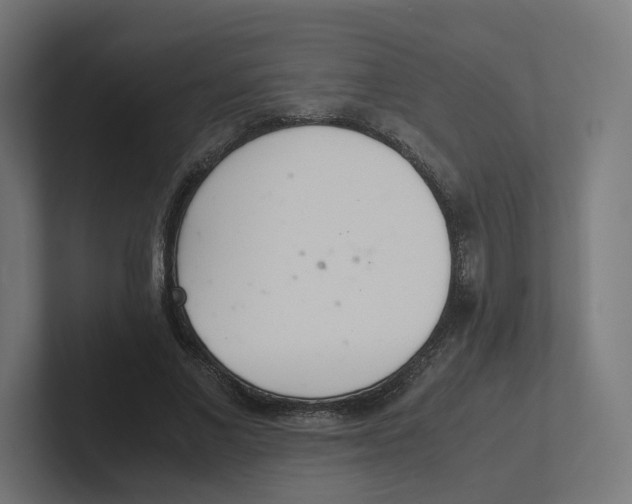 X0000102300685200808221421